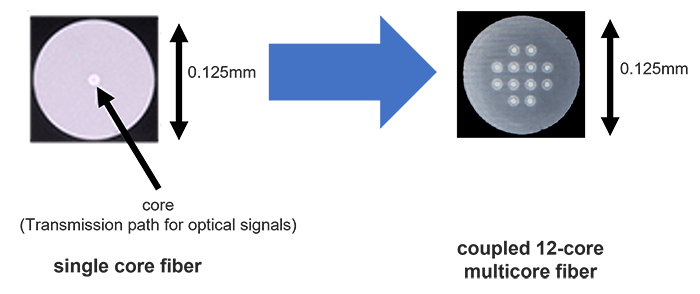 Cáp Quang Thế Hệ Mới Sợi Đa Lõi Của Nec Và Ntt Multicoref